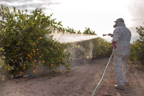Best Wasp Removal Services  in Gleneagle, CO