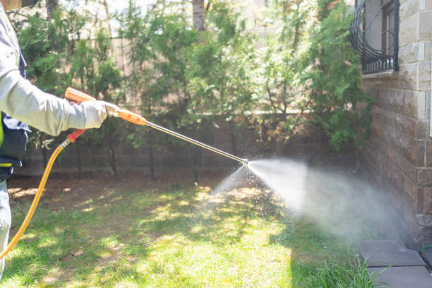 Best Local Pest Control Services  in Gleneagle, CO