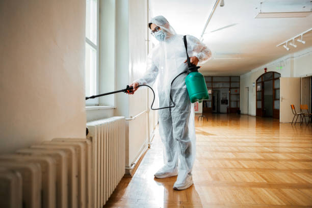 Best Affordable Pest Control Services  in Gleneagle, CO