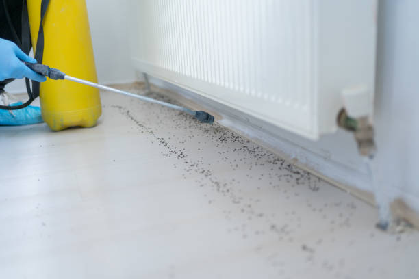 Gleneagle, CO Pest Control Company