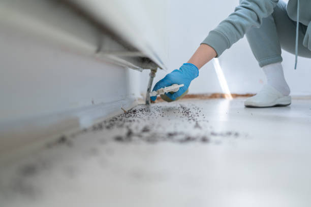 Pest Prevention Services in Gleneagle, CO