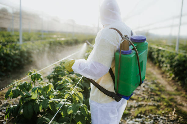 Wasp Removal Services in Gleneagle, CO